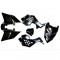 Carenagem (completa),RAPTOR-4 QD03 / ATV 49 (Preto)