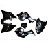 Carenagem (completa),RAPTOR-4 QD03 / ATV 49 (Preto)