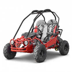 BUGGY CRIANÇA 160CC - 6" - AUTO