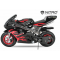 POCKETBIKE NITRO PS77 49cc |PUXADOR FÁCIL| PNEU 6,5"