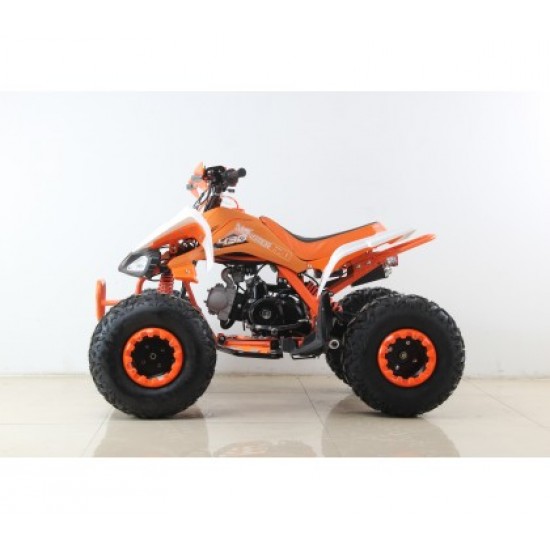 Moto 4 GUIPE 2020 125cc - Jante 8" - 4 Velocidades(3F + 1A)