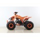 Moto 4 GUIPE 2020 125cc - Jante 8" - 4 Velocidades(3F + 1A)