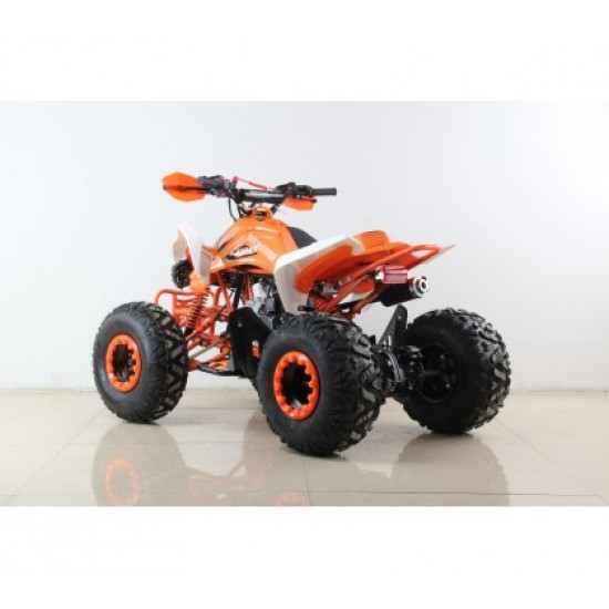 Moto 4 GUIPE 2020 125cc - Jante 8" - 4 Velocidades(3F + 1A)