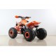Moto 4 GUIPE 2020 125cc - Jante 8" - 4 Velocidades(3F + 1A)