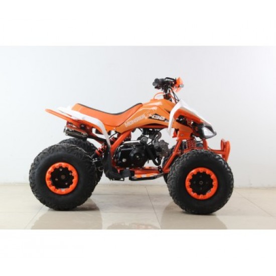 Moto 4 GUIPE 2020 125cc - Jante 8" - 4 Velocidades(3F + 1A)