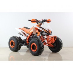 Moto 4 GUIPE 2020 125cc - Jante 8" - 4 Velocidades(3F + 1A)