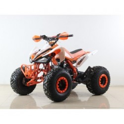 Moto 4 GUIPE 2020 125cc - Jante 8" - 4 Velocidades(3F + 1A)