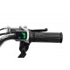 Mini Moto 4 Cobra Eco 800W - 36V - Jante 6" Mini Moto 4 Cobra Eco 800W - 36V - Jante 6"