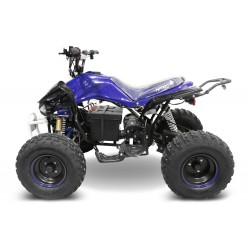 MOTO 4 ECO SPEEDY 1000W - 48V | JANTE 8'' 