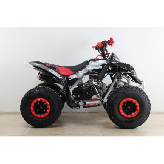 Moto 4 Mega Raptor 125cc - Jante 8'' Moto 4 Mega Raptor 125cc - Jante 8''