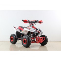 Mini Moto 4 STAR 110cc - Jante 6''- 4T