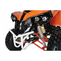 Moto 4 Warrior 125cc - F + R - 8"