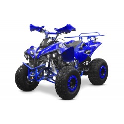 Moto 4 Warrior 125cc - 3 + R - 8"