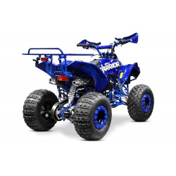 Moto 4 Warrior 125cc - 3 + R - 8"