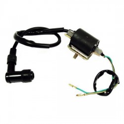 Bobine de Vela (c/ chapa), 4-TEMPOS, MINI ATV 90/110/125
