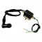 Bobine de Vela (c/ chapa), 4-TEMPOS, MINI ATV 90/110/125