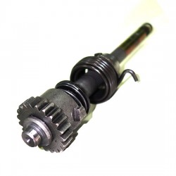 Veio do Kick 125 4 tempos, PITBIKE