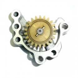 Bomba de Óleo (LIFAN 125/140 - 22 Dentes), PITBIKE