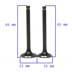 Válvulas (admissão 23x66x5 + escape 20x65x5), 110/125
