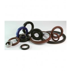 Retentor - 12x21x4 mm