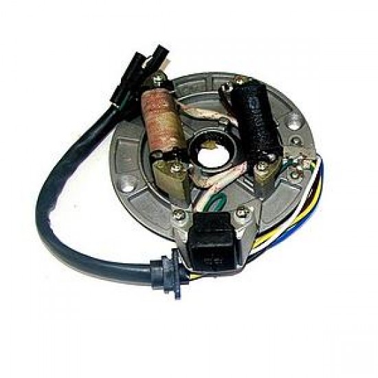 Magnetico (2 bobines) 125/140cc. Prato das bobines c/ pick-up, PITBIKE Magnetico (2 bobines) 125/140cc. Prato das bobines c/ pick-up, PITBIKE
