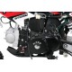 Pit Bike STORM 110cc - 14''/12'' - Automática Pit Bike STORM 110cc - 14''/12'' - Automática